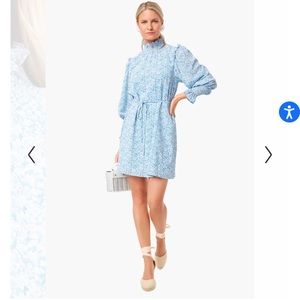 Exclusive Balou Mini Dress